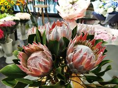 -双季花艺园艺市场(浦东店)