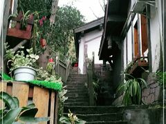 -五凤溪古镇