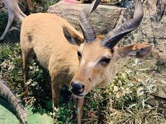 -陕西自然博物馆