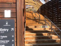 -怀托摩萤火虫洞