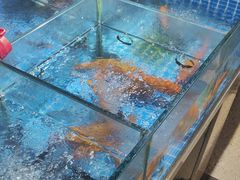 -头上红煨盐鸡·非遗院子餐厅