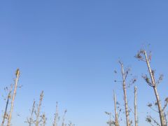 -漩门湾国家湿地公园