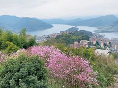 -三峡梯城