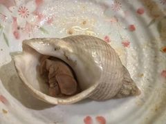 -松子料理(白家庄店)
