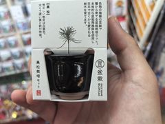 -秋叶原电器街