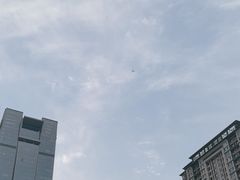 -木塔寺遗址生态公园