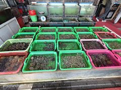 -众味海鲜大排档·活海鲜·潮汕味(南澳店)