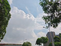 -青礁慈济宫