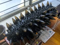 -宫品海参专卖店(静安大宁店)