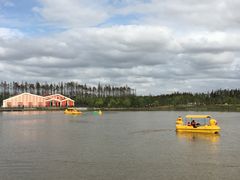 -上海长兴岛郊野公园