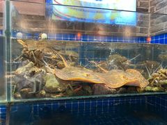 -健眺小海鲜(临海后山店)