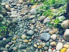 -成都市活水公园