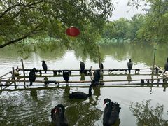-长兴太湖图影湿地文化园