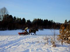 -北极村旅游风景区