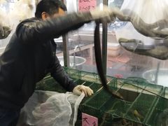 -荔城生鲜盛宴(番禺旗舰店)