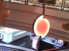 -崇光百货(尖沙咀店)