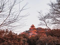 -东湖磨山景区