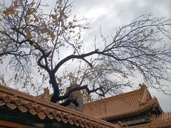 -故宫博物院(故宫)