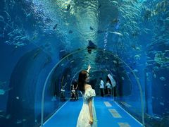 -哈尔滨波塞冬海底世界