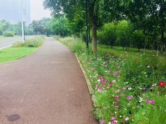 -艾溪湖湿地公园