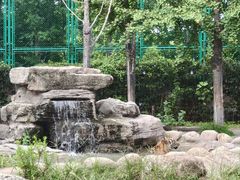 -上海野生动物园老虎餐厅