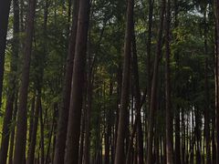 -汉水公园
