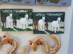 -波斯托伊纳溶洞