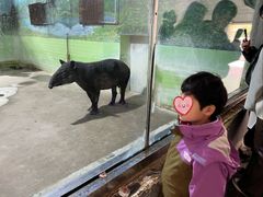 -石家庄市动物园