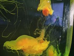 -西安曲江海洋极地公园