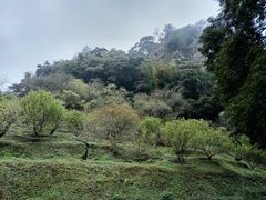 -广州市石门国家森林公园