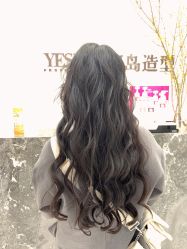 -YESIDO椰岛造型