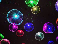 -武汉5D星空错觉艺术馆(中心百货店)