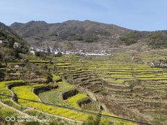-四明山国家森林公园