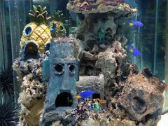 -太平洋海底世界