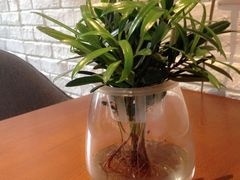 -JINNS锦时 steak&pizza(浸信会礼拜堂旧址店)