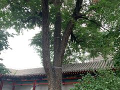 -内蒙古将军衙署博物院