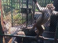 -藏龙百瀑风景区