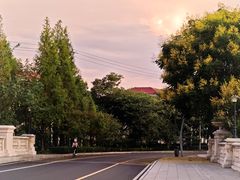 -西山漾湿地公园