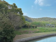 -上海佘山国家森林公园天马山园