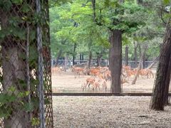 -秦皇岛野生动物园