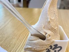 -野人先生Gelato(上海长宁龙之梦店)