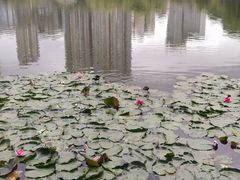 -凤池园
