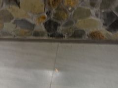 -三毛烧烤·南昌大排档(山姆店)