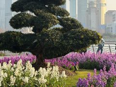 -北外滩滨江绿地