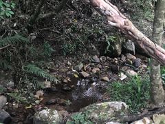 -大亚湾红树林城市湿地公园