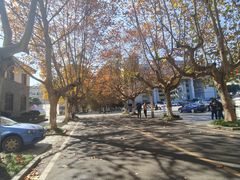 -四川农业大学(雅安校区)