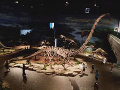 -自贡恐龙博物馆