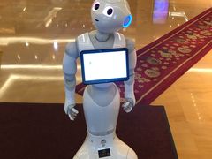 -东北大厦酒店(沈阳北站青年大街店)