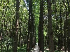 -同里国家湿地公园