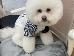 -瑞派康怡24h宠物医院·犬猫医疗中心·微创绝育(瑞景分院)